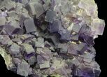 Cubic, Purple Fluorite Crystal Cluster - China #73943-3